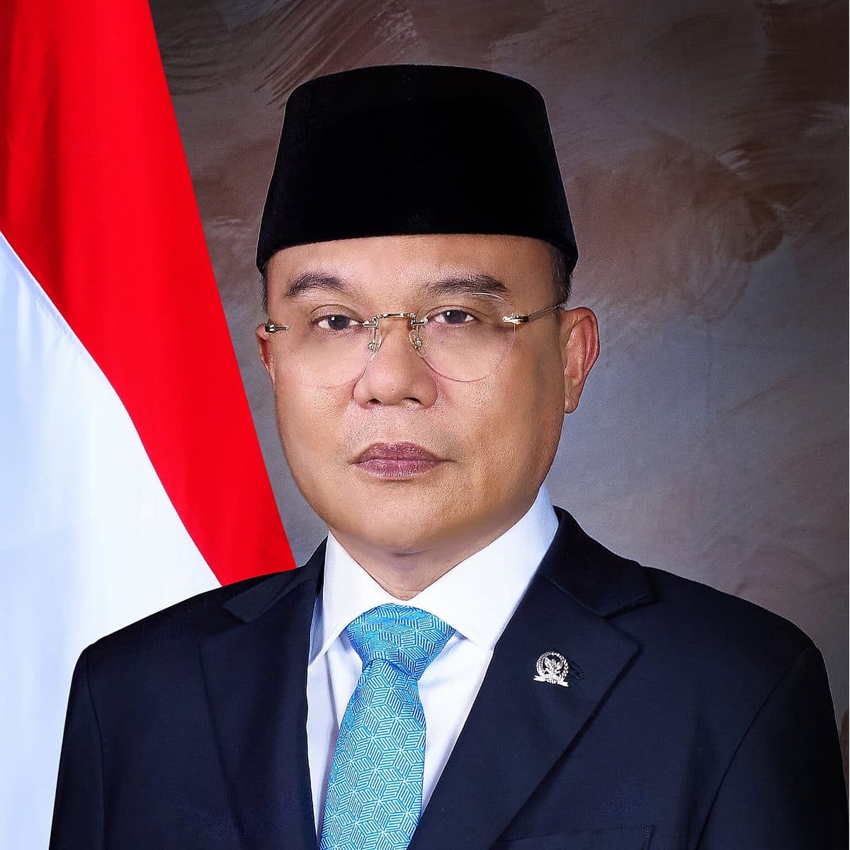 Potret resmi Sufmi Dasco Ahmad, 2024